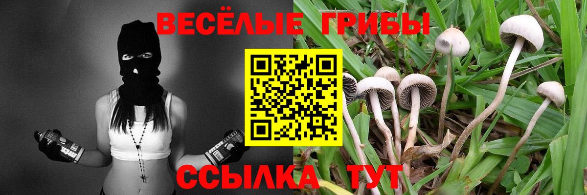 цены наркотик  Вход с VPN  Шадринск  Галлюциногенные грибы прущие грибы 